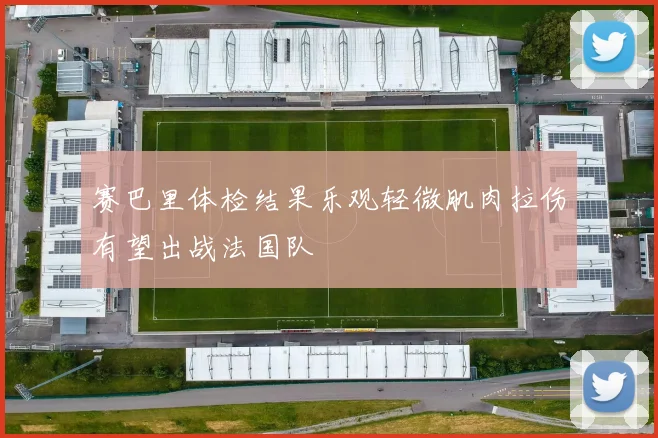 赛巴里体检结果乐观轻微肌肉拉伤有望出战法国队