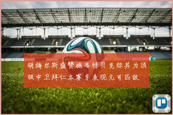 胡梅尔斯盛赞施洛特贝克称其为顶级中卫拜仁本赛季表现无可匹敌